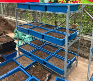 Kệ rau sạch Tiến Nông Garden